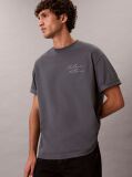 Gri Tricou Relaxat Cu Logo Script  Barbati