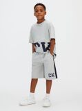 Gri Pantaloni Scurti Relaxati Cu Logo Varsity  Baieti