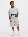 Gri Pantaloni Scurti Relaxati Cu Logo Varsity  Baieti