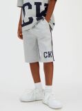 Gri Pantaloni Scurti Relaxati Cu Logo Varsity  Baieti
