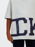 Gri Tricou Cu Logo  Baieti