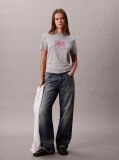 Gri Tricou Slim Cu Imprimeu Grafic Si Logo Script  Femei