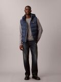 Albastru Pantaloni Cargo Skinny Din Twill  Barbati