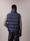Albastru Pantaloni Cargo Skinny Din Twill  Barbati