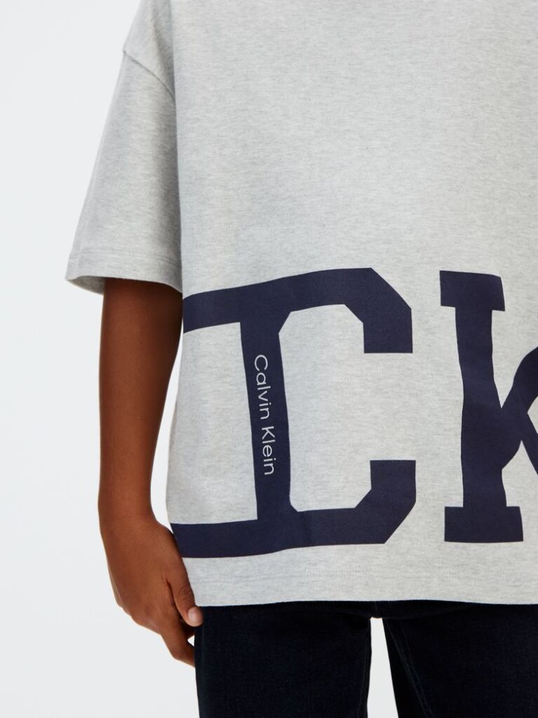 Gri Tricou Cu Logo  Baieti